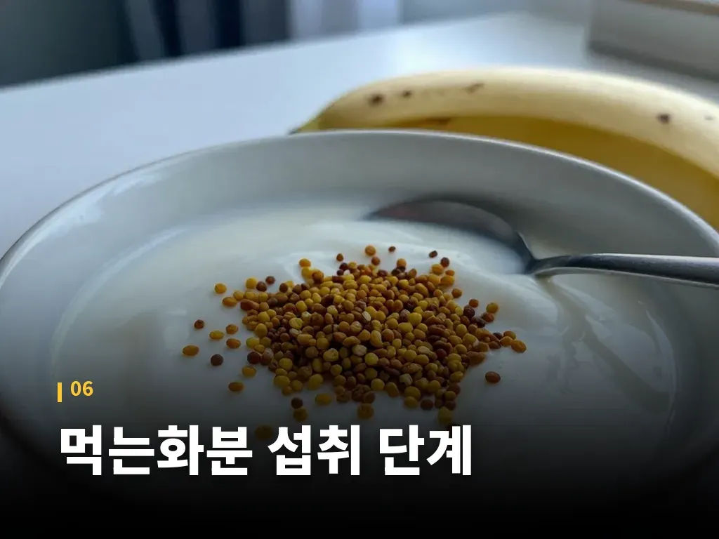 먹는화분 섭취 단계 이미지