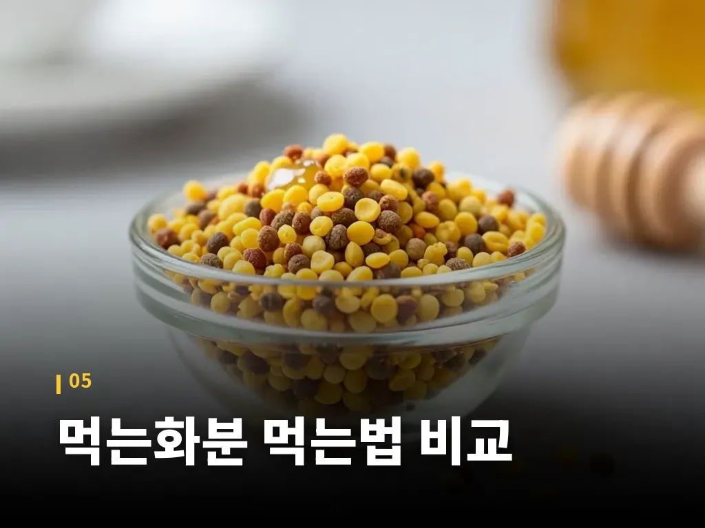 먹는화분 먹는법 비교 이미지