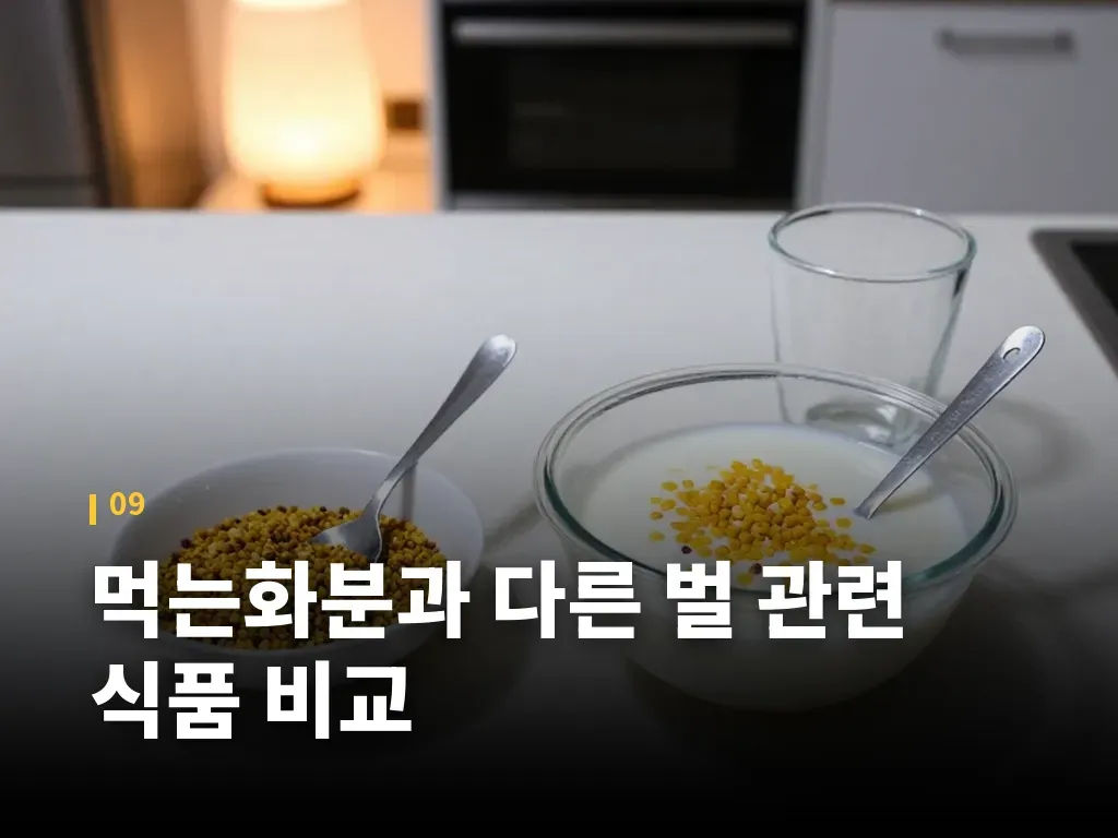 먹는화분과 다른 벌 관련 식품 비교 이미지