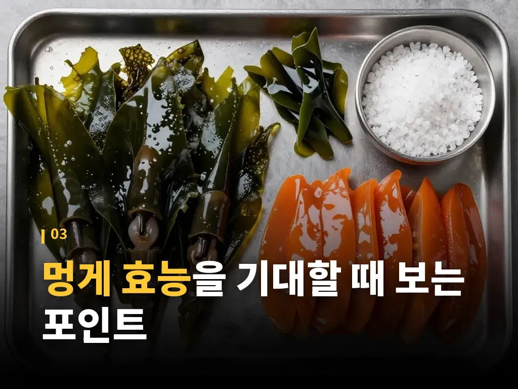 손질과 보관은 어떻게 해야 할까요 이미지