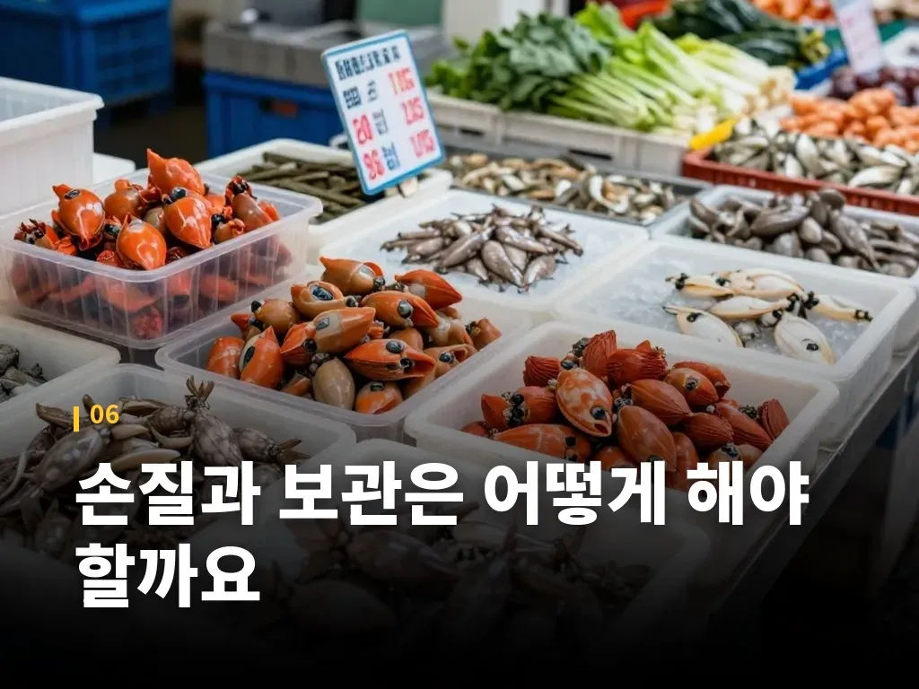 멍게를 더 맛있게 먹는 조합 이미지