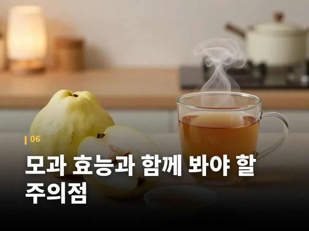 모과 효능과 함께 봐야 할 주의점 이미지