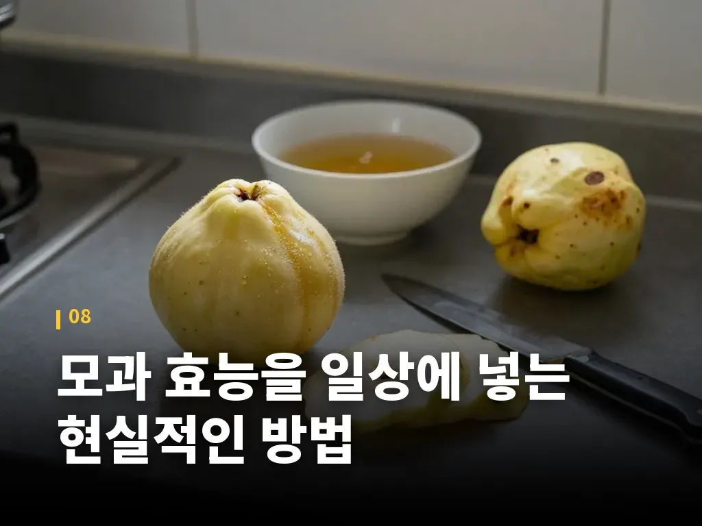 모과 효능을 일상에 넣는 현실적인 방법 이미지