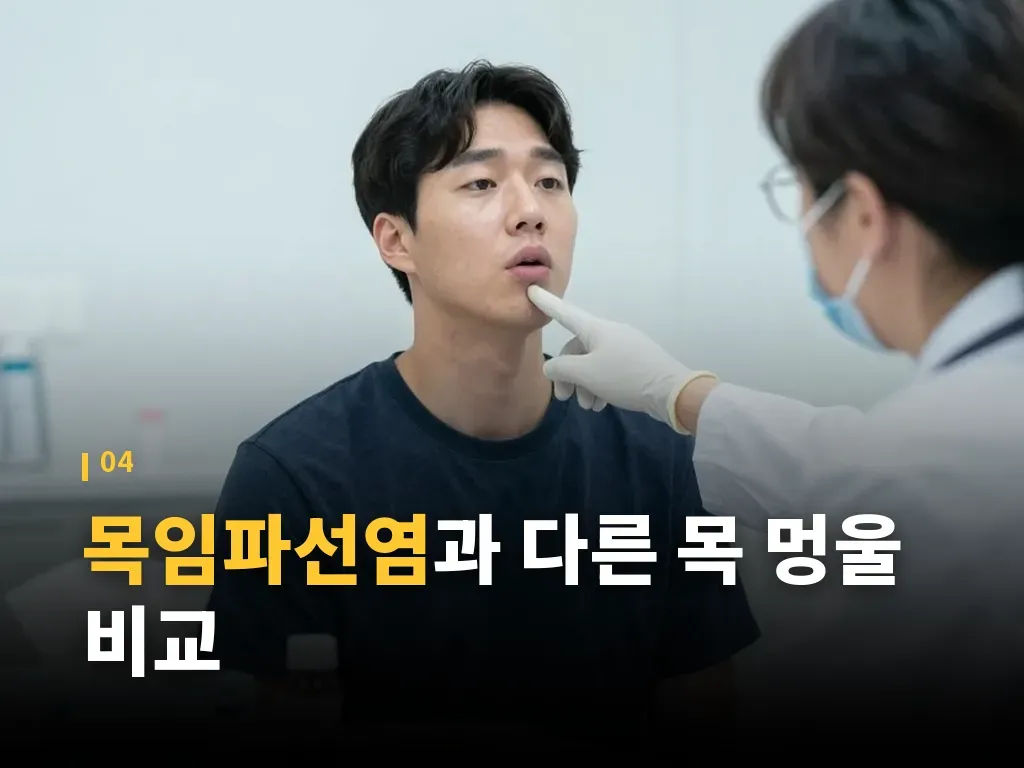 목임파선염과 함께 나타나는 동반 증상 이미지