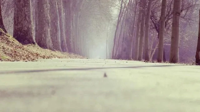 핵심요약 이미지