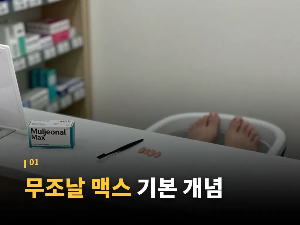무조날 맥스 사용법 단계 이미지