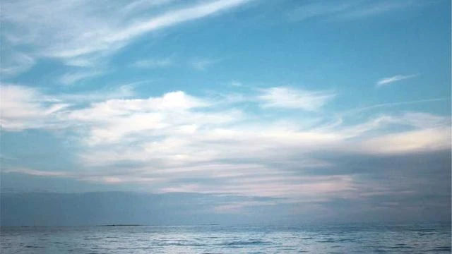 Q&A 자주 묻는 질문 이미지