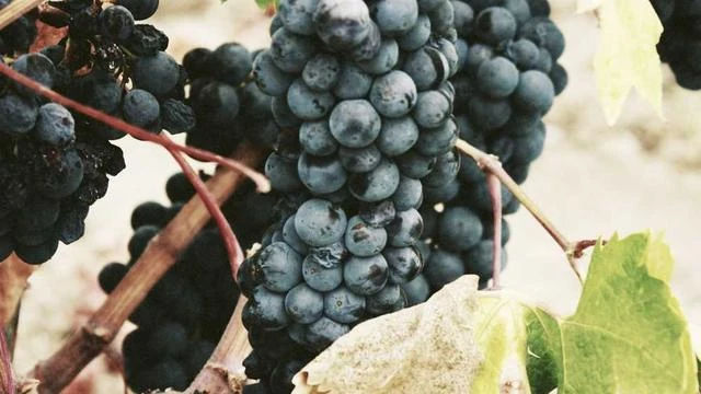 Q&A 자주 묻는 질문 이미지