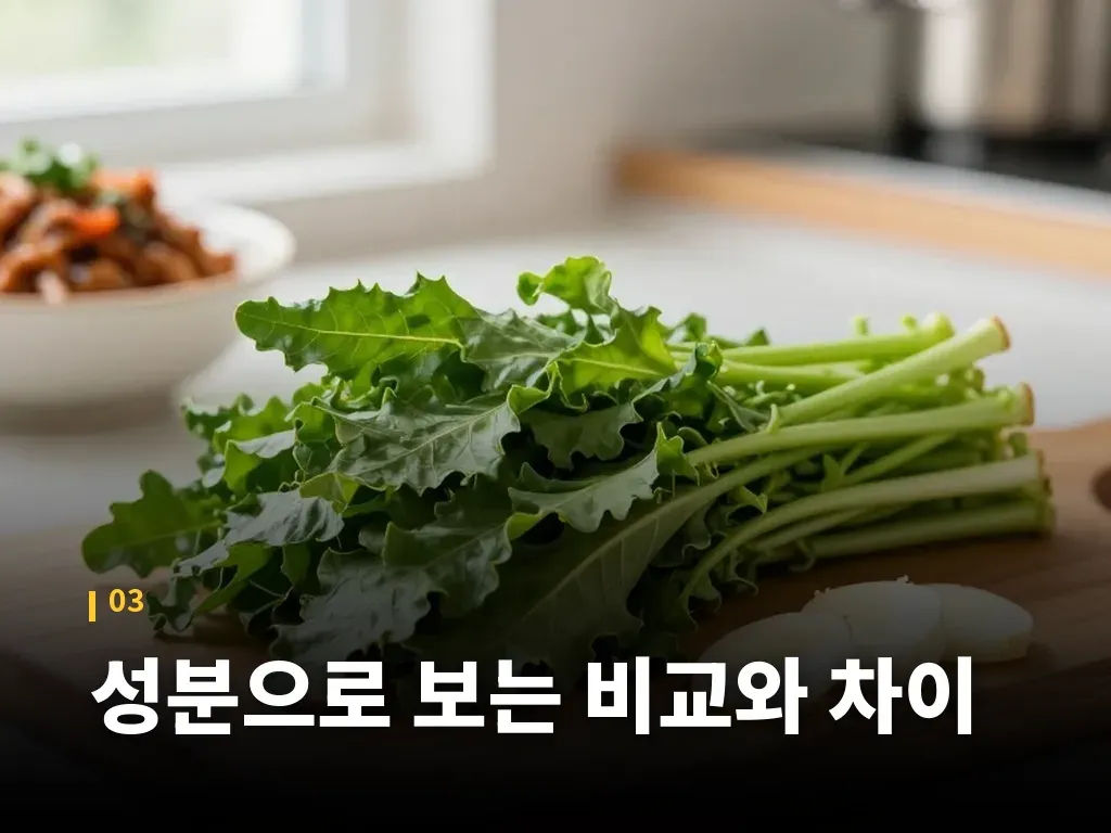 방풍나물 효능을 기대할 때 함께 보면 좋은 영양 습관 이미지