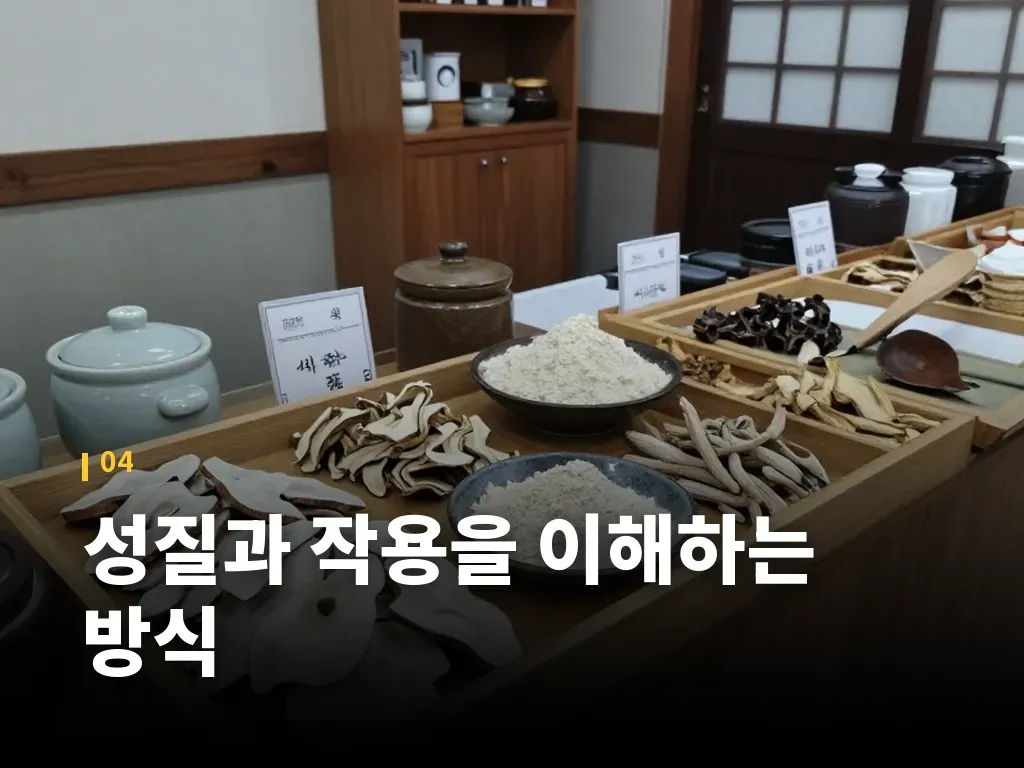 성질과 작용을 이해하는 방식 이미지
