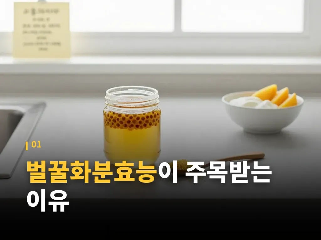 섭취 방법 3단계와 적정량 이미지