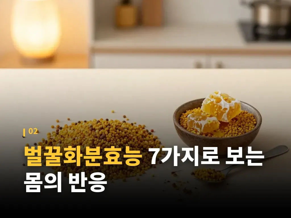 유형과 분류로 보는 선택 기준 이미지