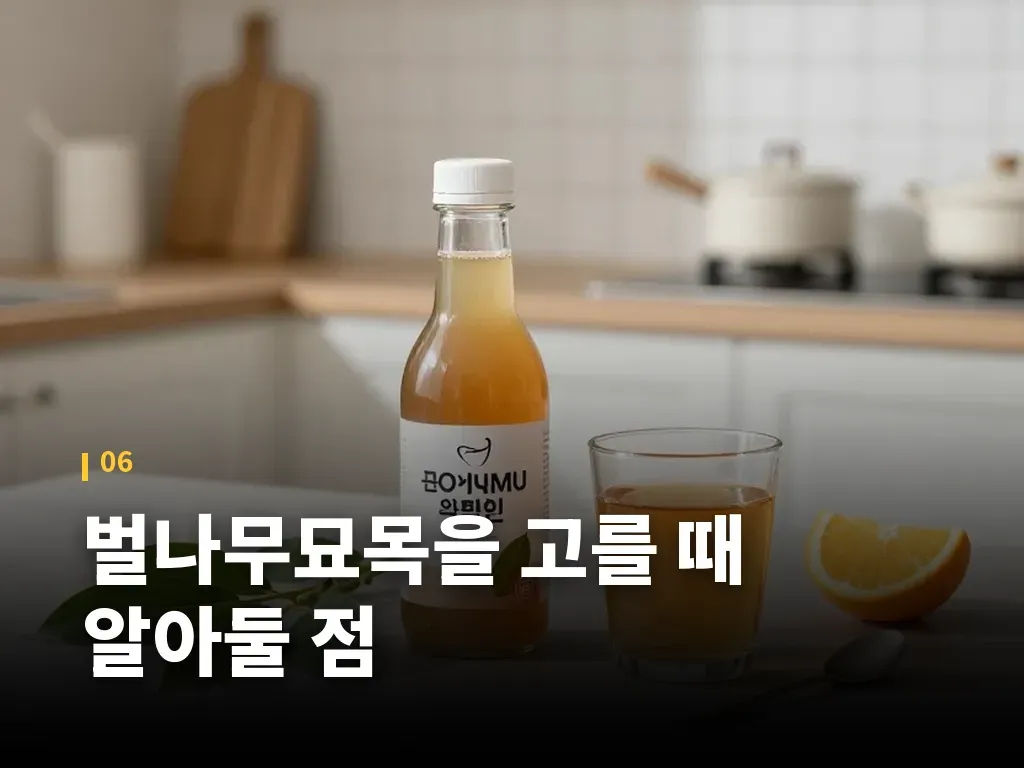 벌나무묘목을 고를 때 알아둘 점 이미지