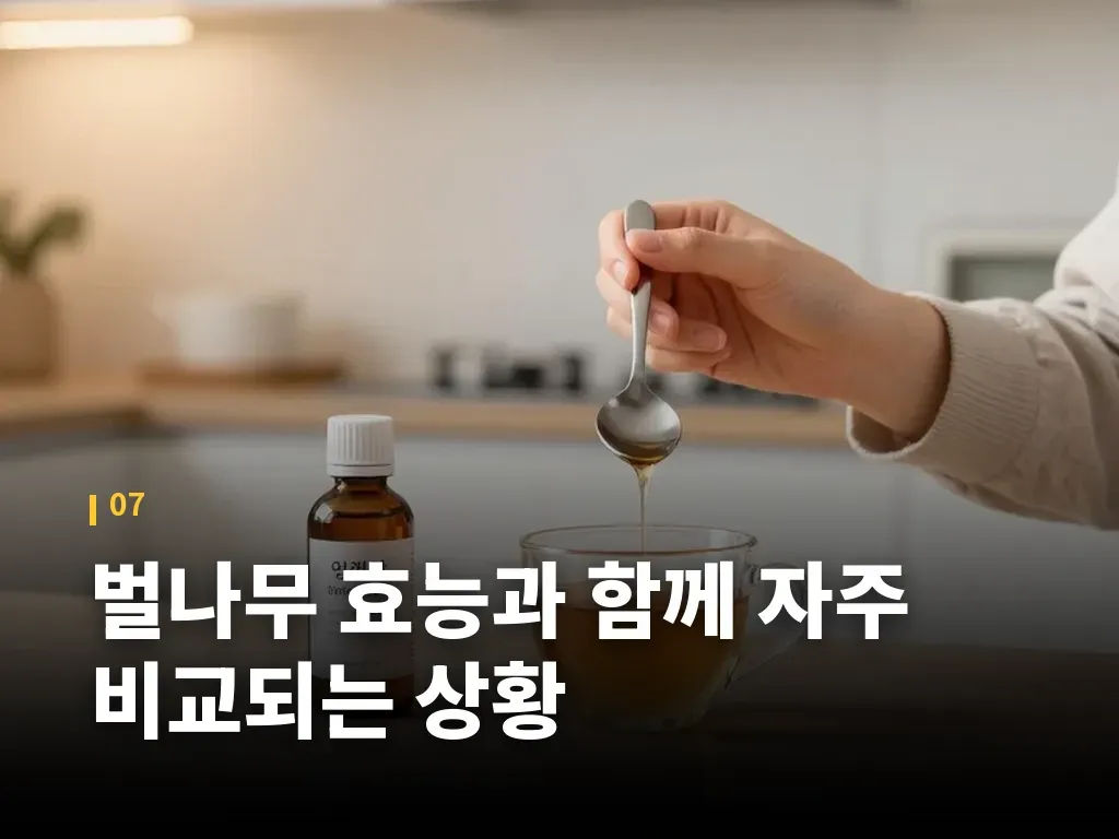 벌나무 효능과 함께 자주 비교되는 상황 이미지