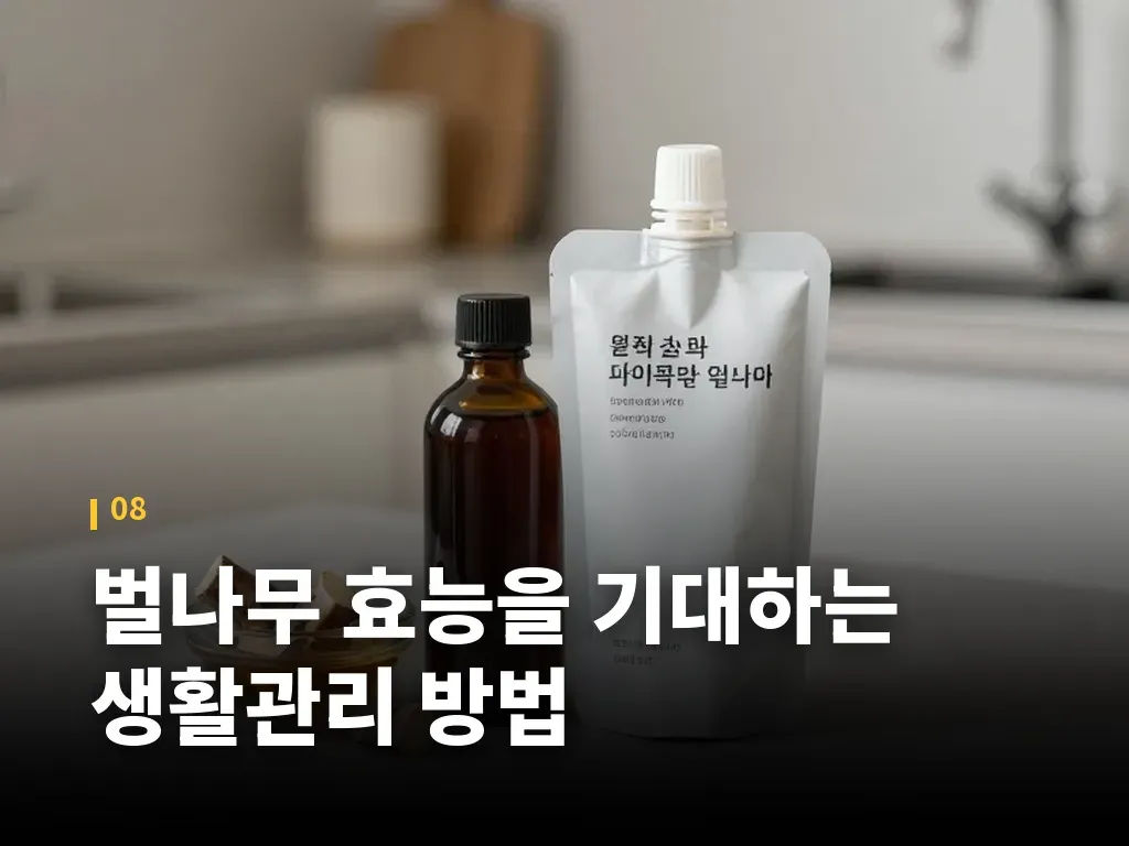 벌나무 효능을 기대하는 생활관리 방법 이미지