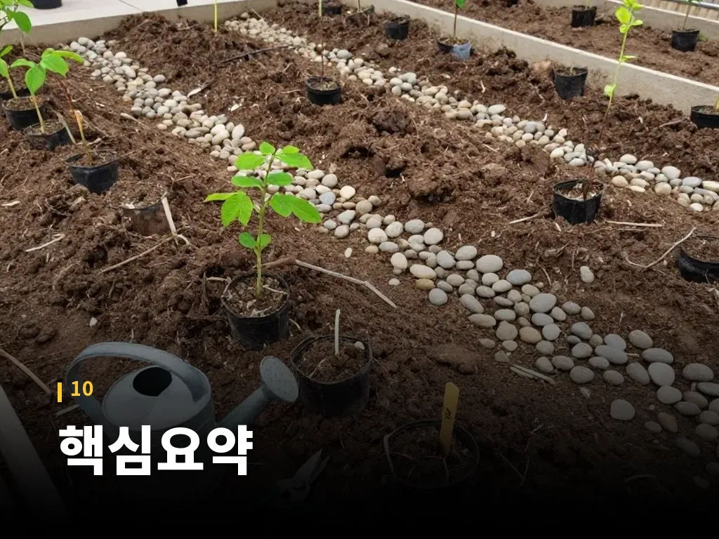 핵심요약 이미지