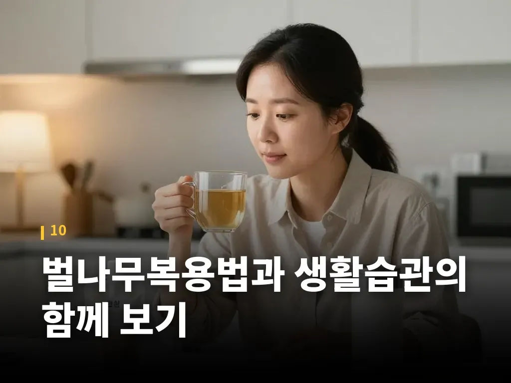 벌나무복용법과 생활습관의 함께 보기 이미지