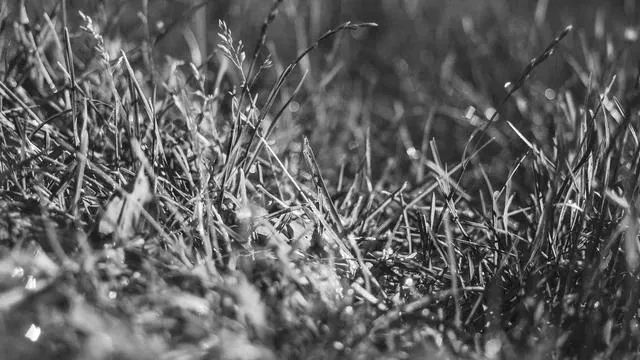 핵심요약 이미지