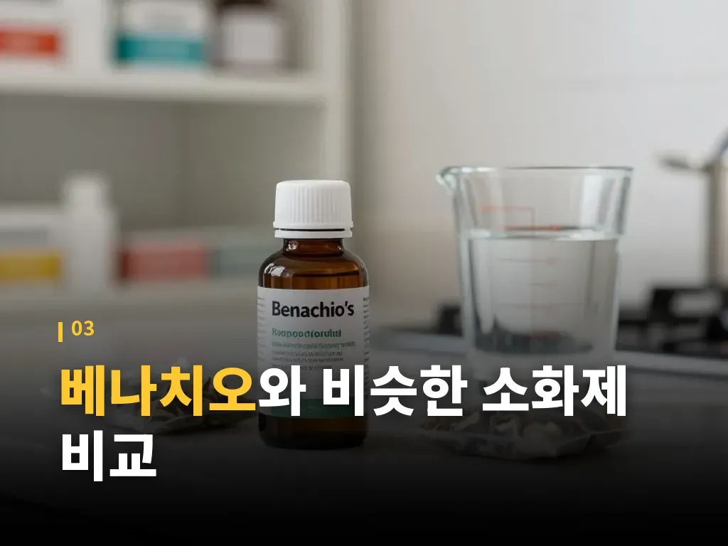 베나치오 유형별로 보는 선택 포인트 이미지
