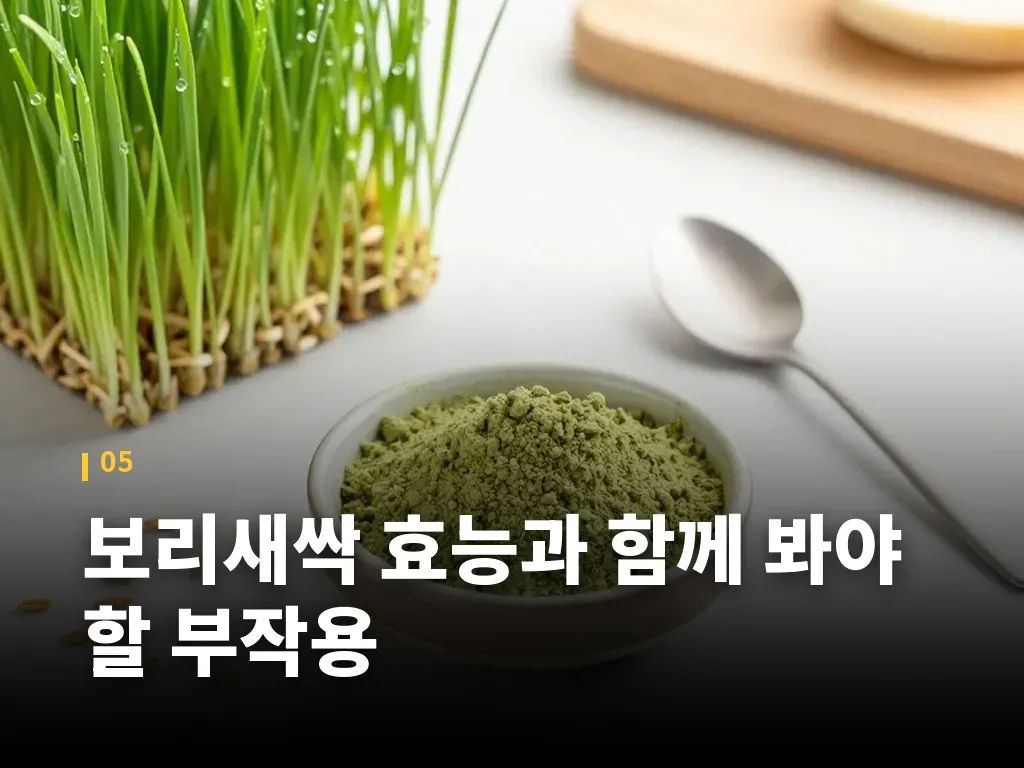 보리새싹 효능과 함께 봐야 할 부작용 이미지
