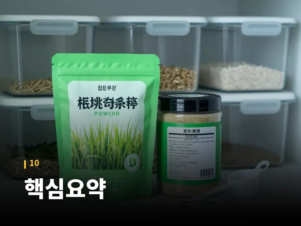 핵심요약 이미지