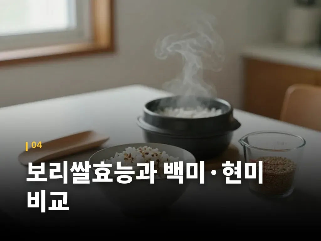 보리쌀효능과 백미&middot;현미 비교 이미지