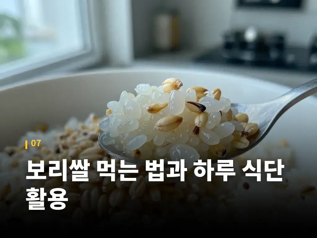 보리쌀 먹는 법과 하루 식단 활용 이미지