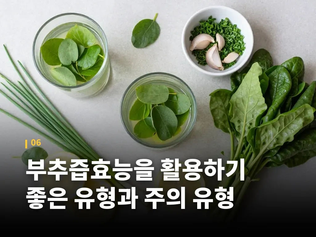 부추즙효능을 활용하기 좋은 유형과 주의 유형 이미지