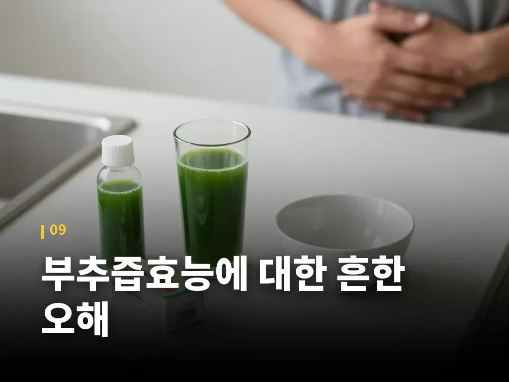 부추즙효능에 대한 흔한 오해 이미지