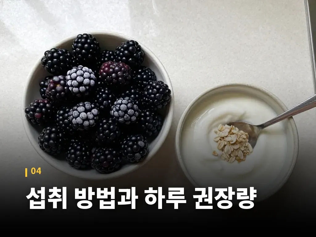 섭취 방법과 하루 권장량 이미지