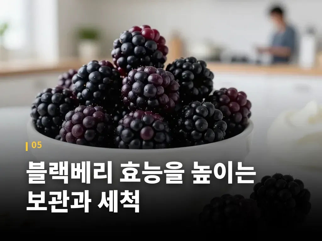 블랙베리 효능을 높이는 보관과 세척 이미지