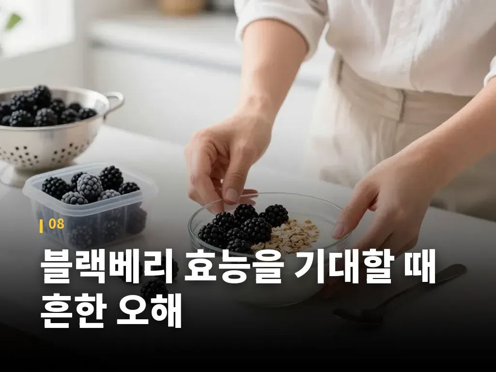 블랙베리 효능을 기대할 때 흔한 오해 이미지