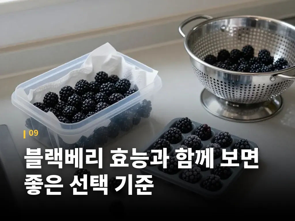 블랙베리 효능과 함께 보면 좋은 선택 기준 이미지