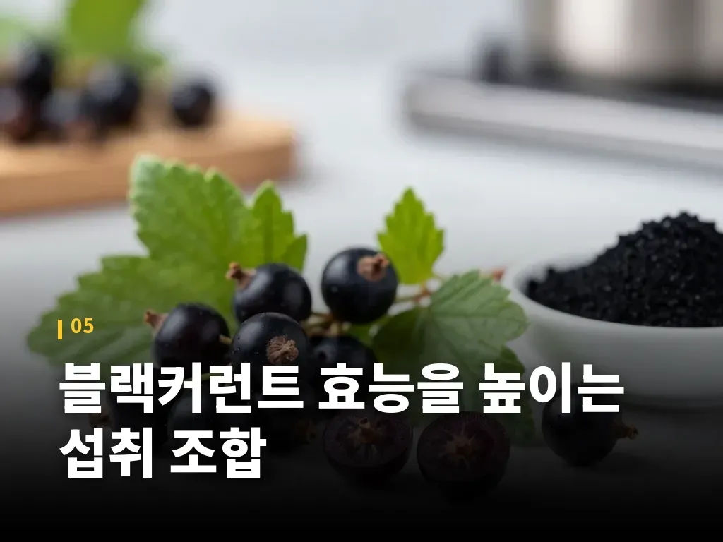 블랙커런트 효능을 높이는 섭취 조합 이미지