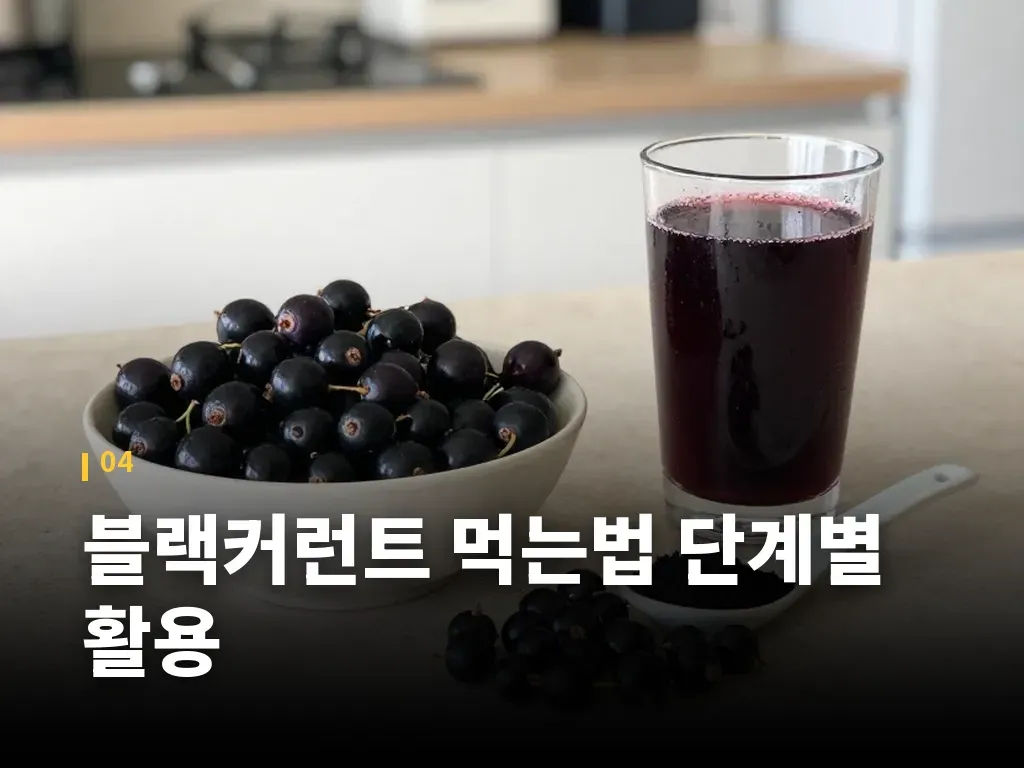 블랙커런트 먹는법 단계별 활용 이미지