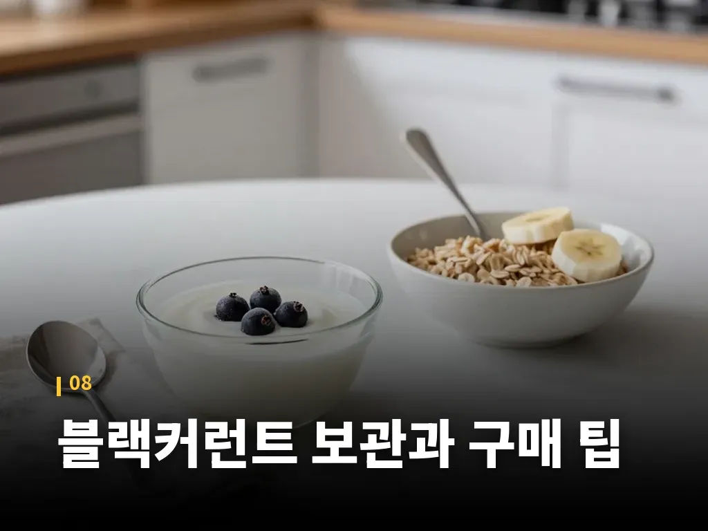 블랙커런트 보관과 구매 팁 이미지
