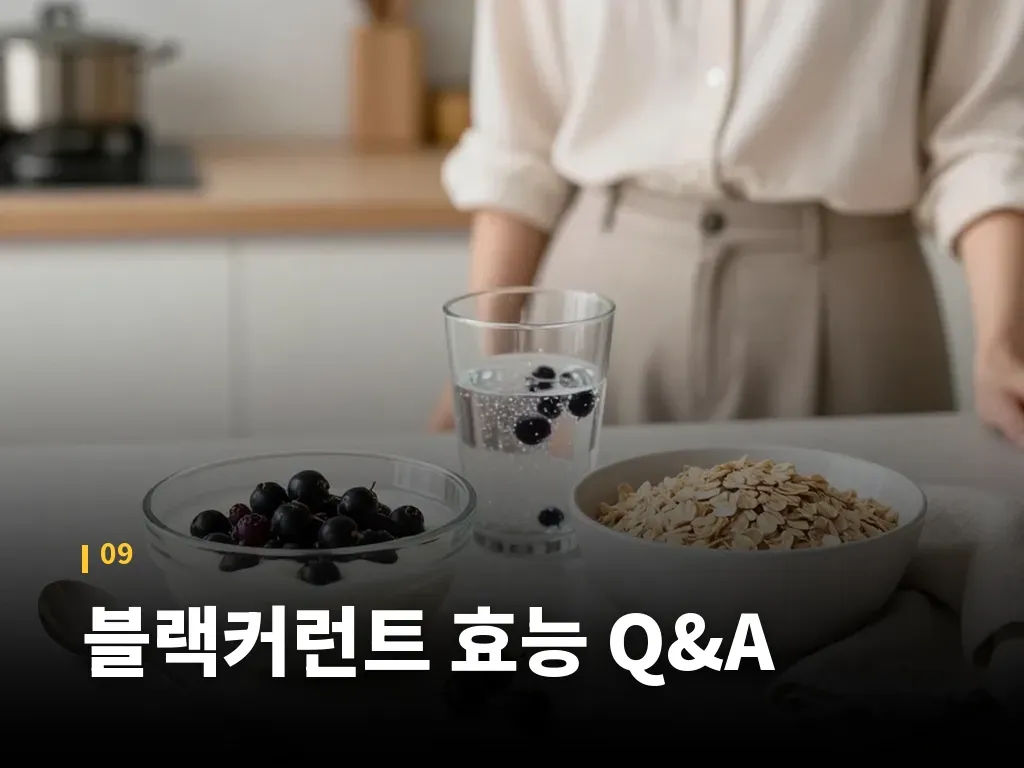 블랙커런트 효능 Q&A 이미지