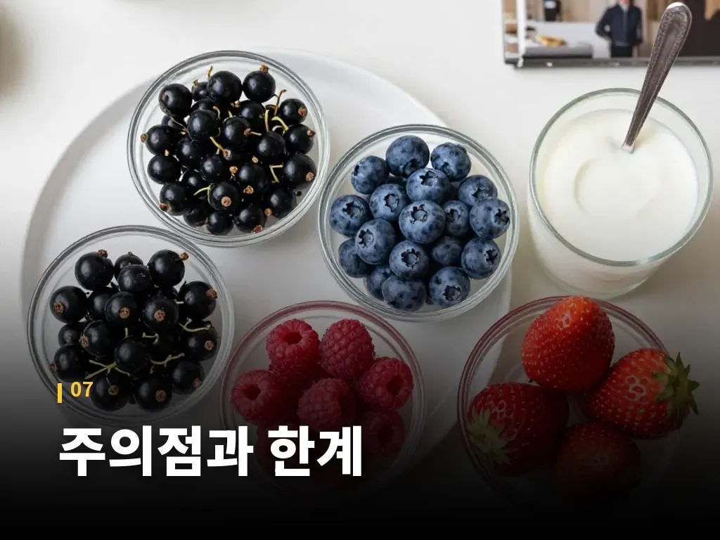 주의점과 한계 이미지