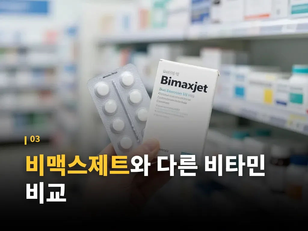 비맥스제트 가격을 볼 때 기준 이미지