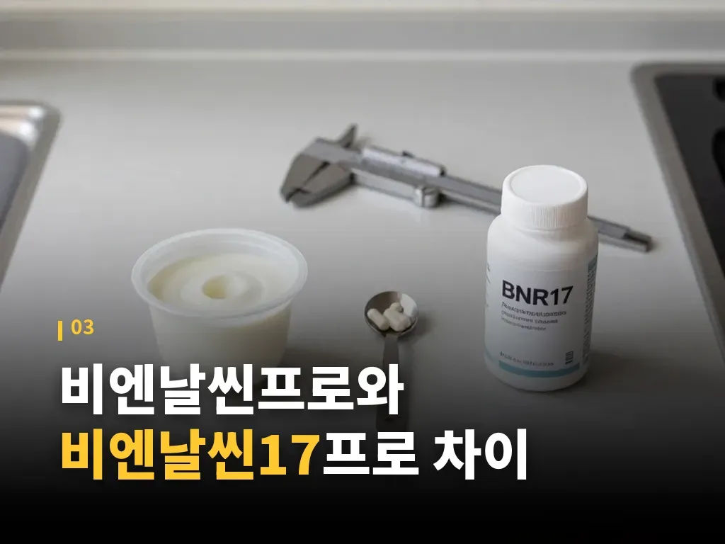 제품 유형별 선택 기준 이미지