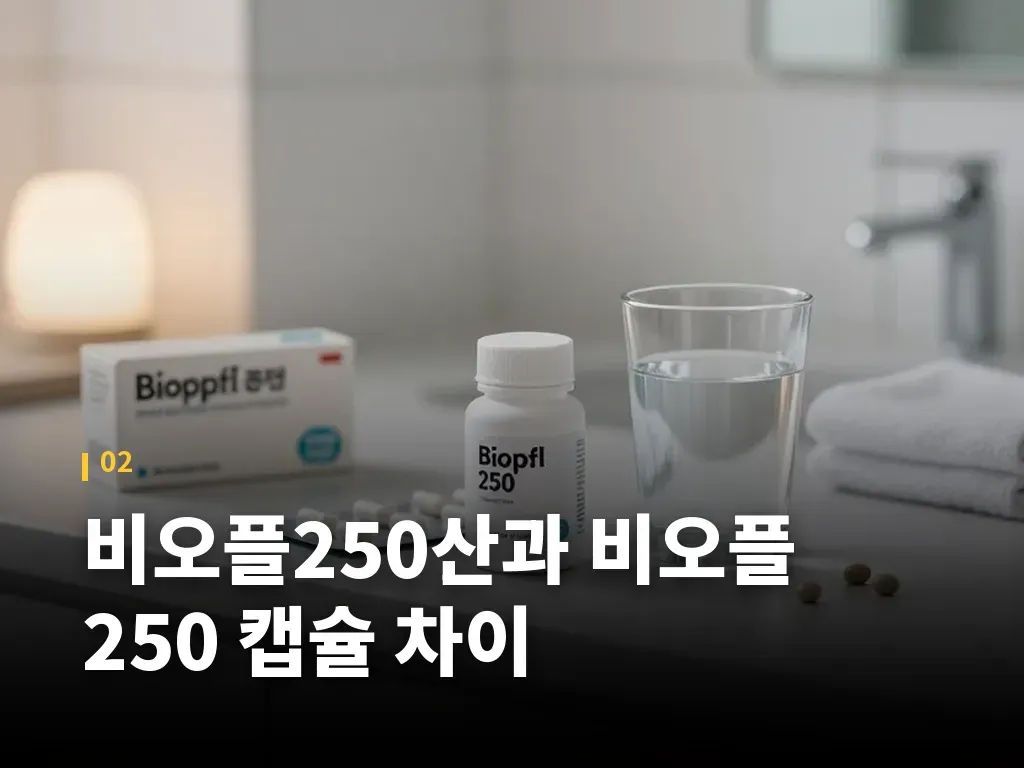 비오플250산과 비오플 250 캡슐의 유형별 구분 이미지