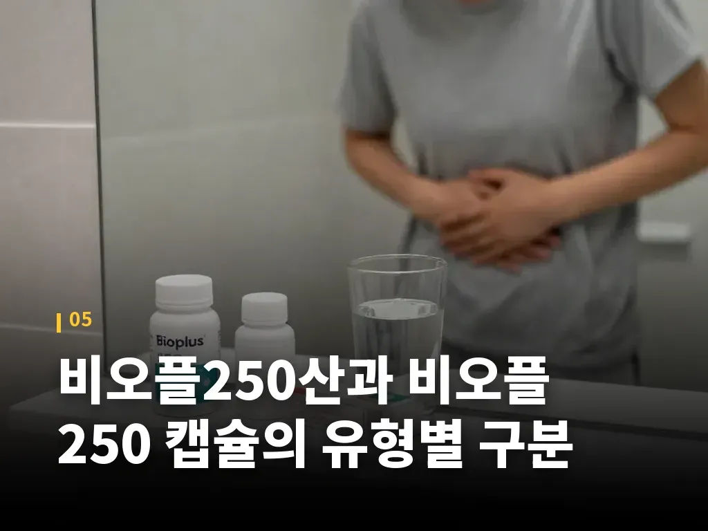 실제 활용 시나리오로 보는 선택 기준 이미지