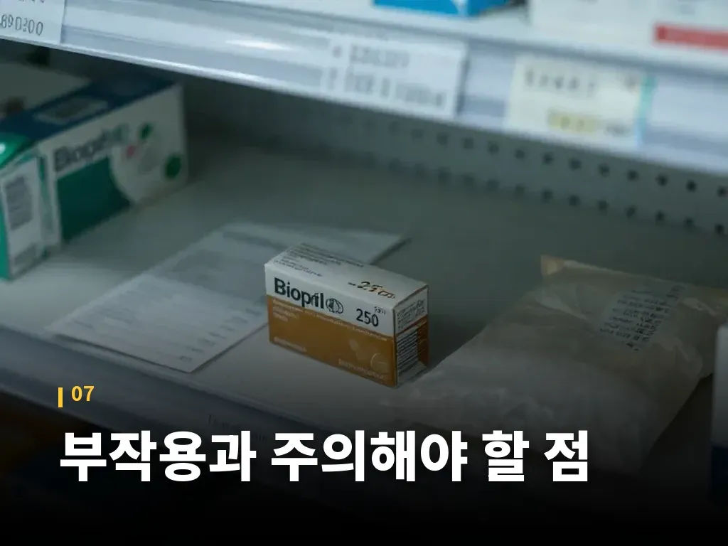 핵심요약 이미지