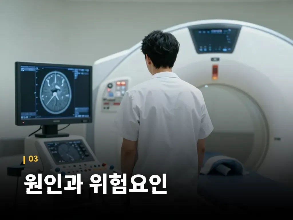 비파열성뇌동맥류 관리 단계 이미지