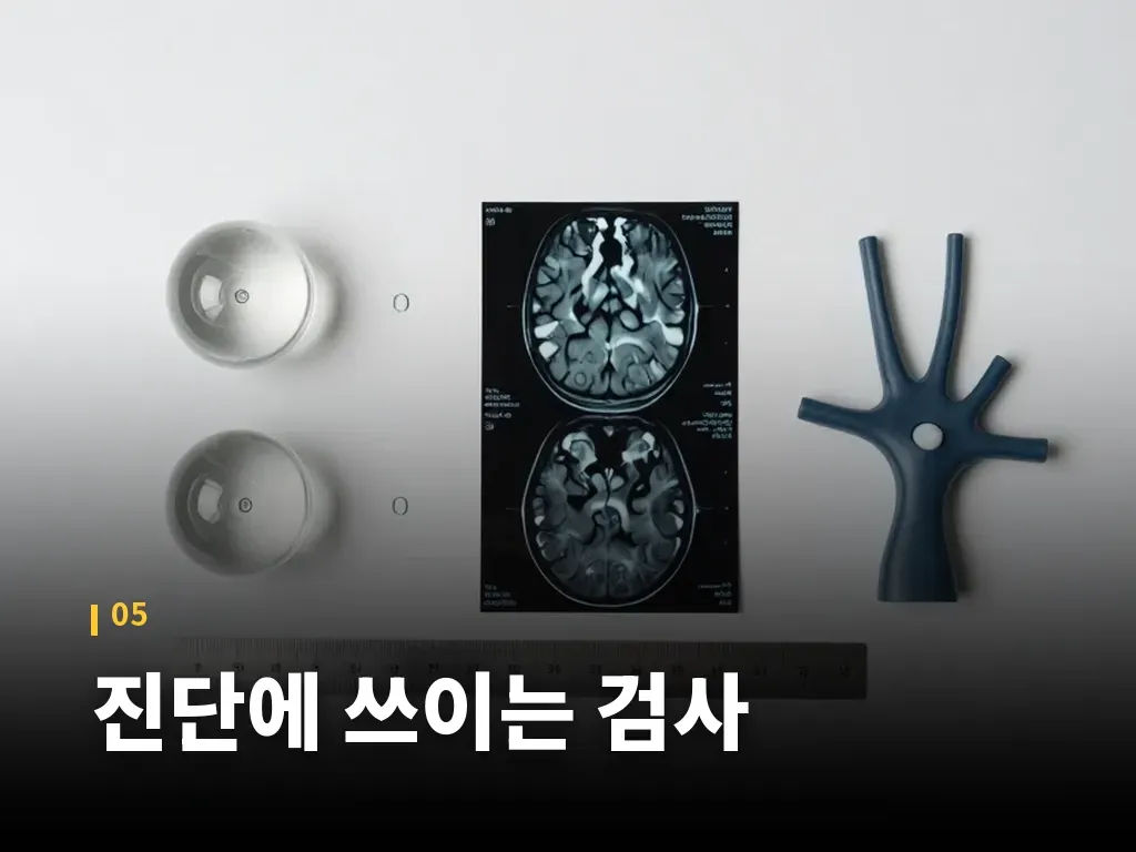 생활관리와 예방 이미지
