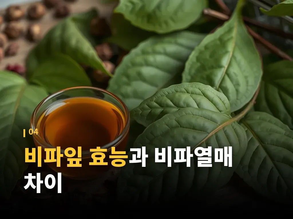 비파잎과 다른 차 재료 비교 이미지
