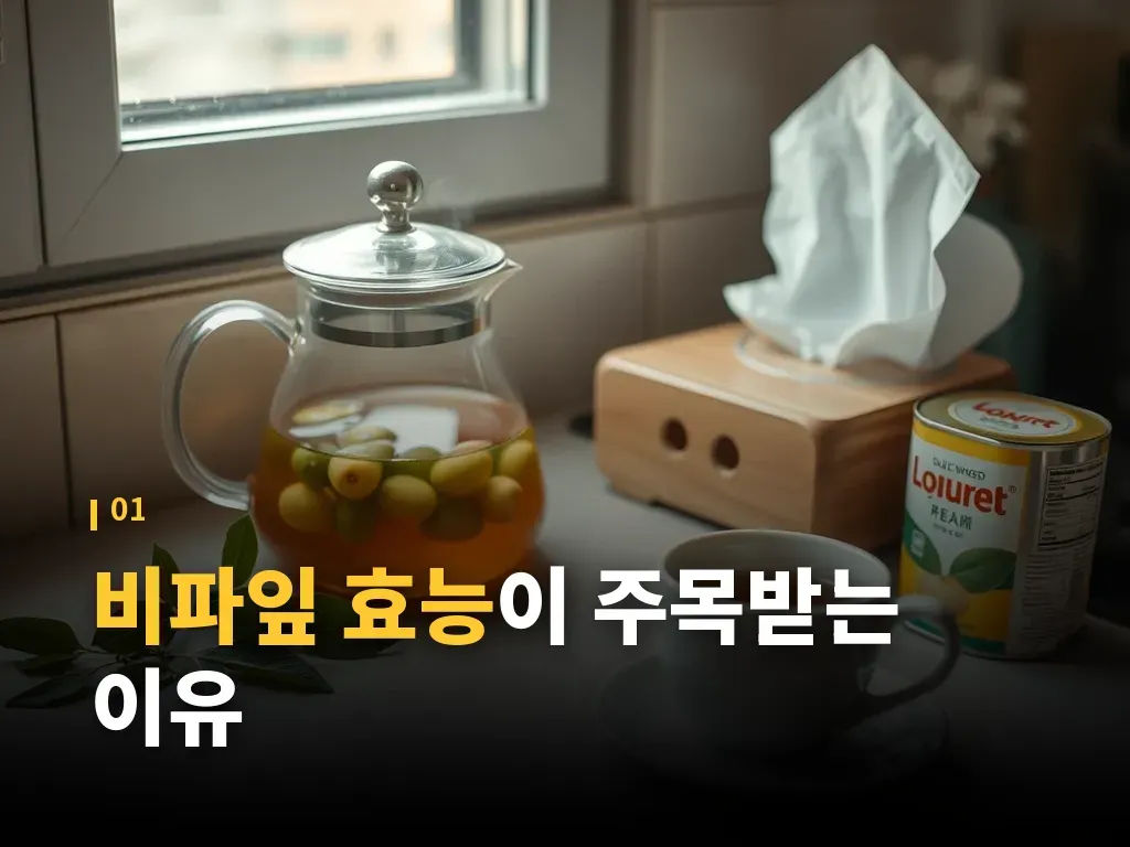 비파잎 효능과 비파열매 차이 이미지