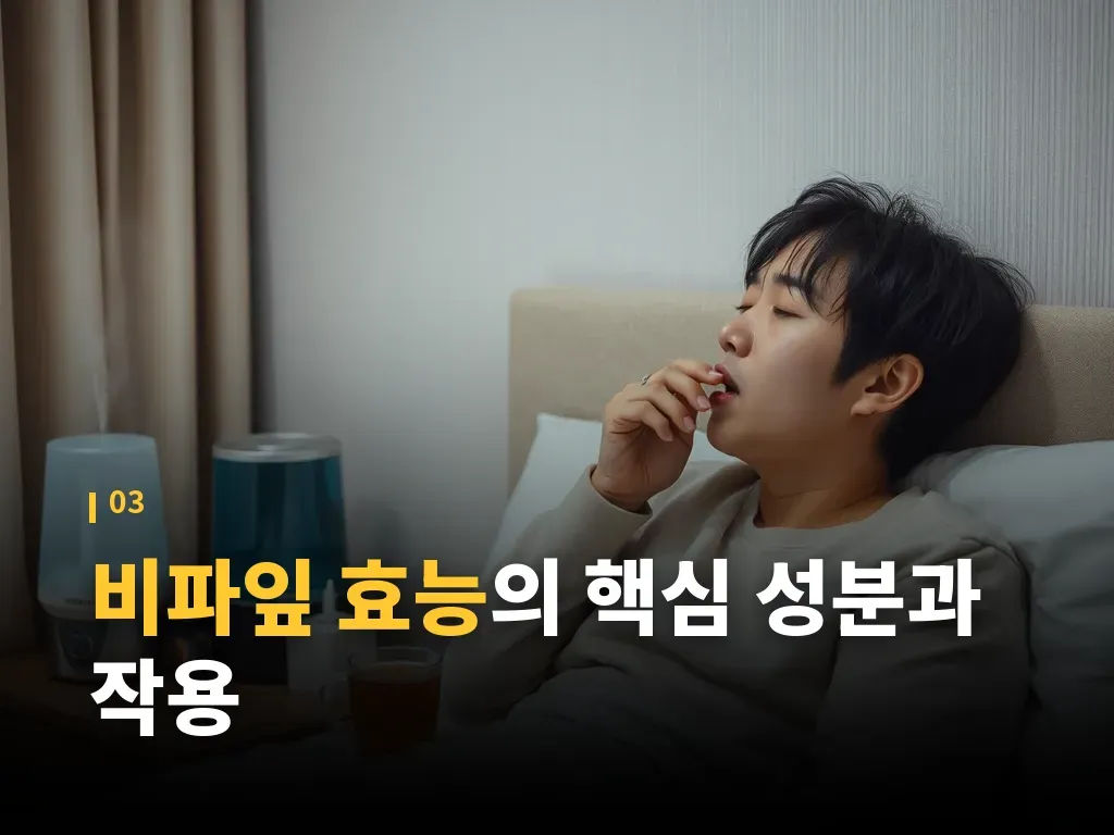 비파잎 효능을 기대할 때 주의할 사람 이미지