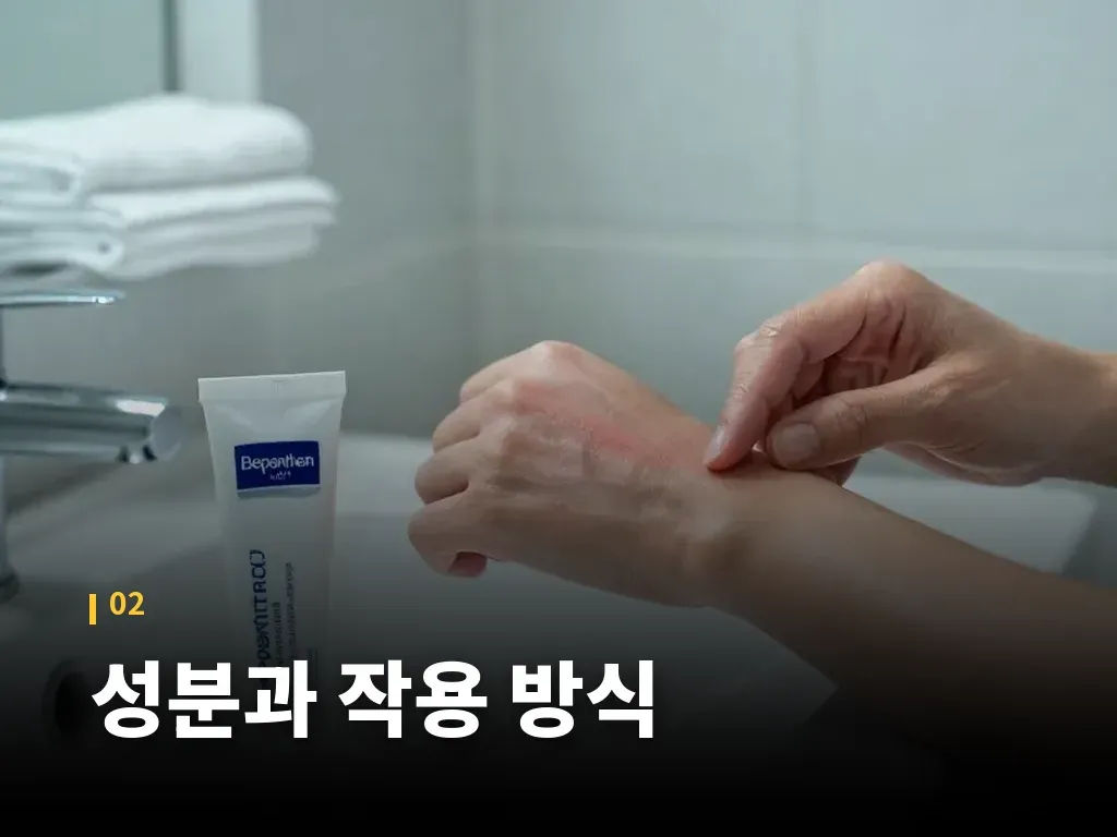 사용법과 바르는 순서 이미지