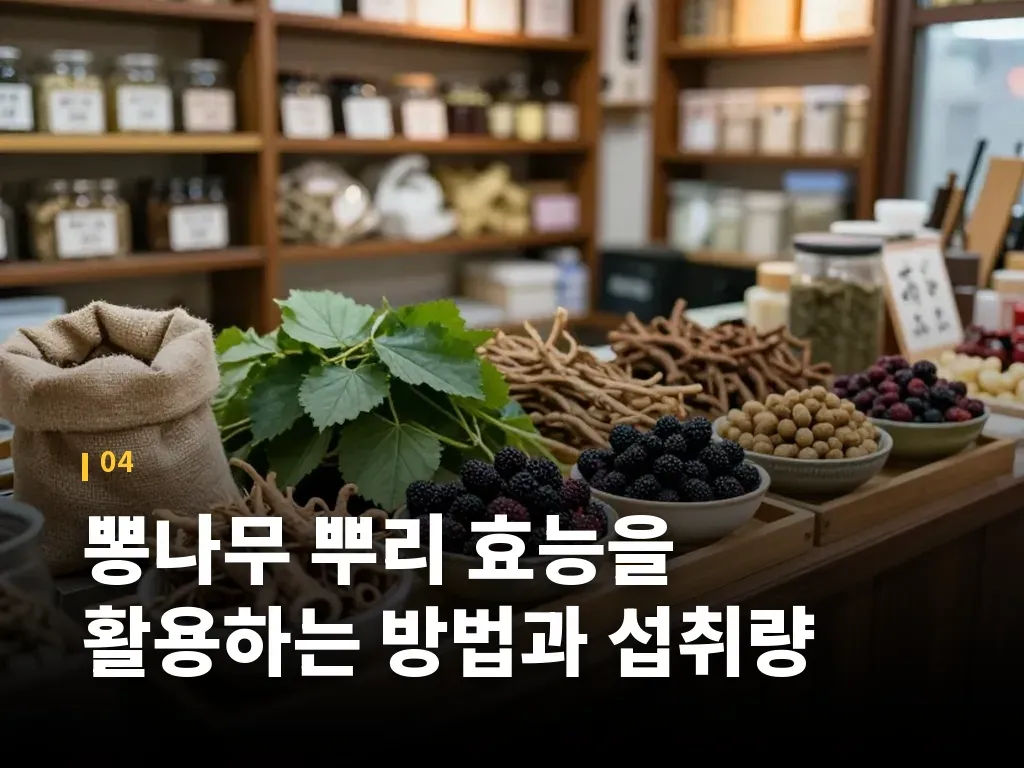 뽕나무 뿌리 효능을 활용하는 방법과 섭취량 이미지